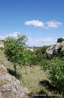 ntana Paradiso-15-05-2014 17-42-17